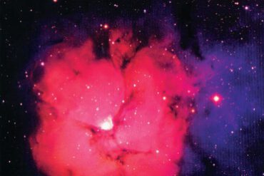 Kirschen oder Birnen?